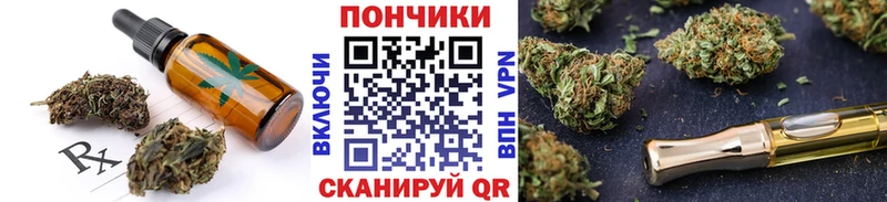 Canna-Cookies конопля  Шадринск 