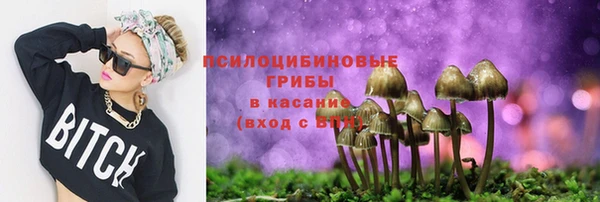 индика Надым