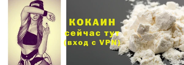индика Надым