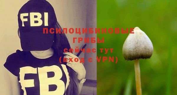 прущая мука Нефтекумск