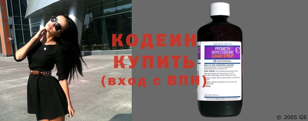 тгк Нея