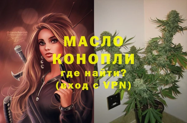 индика Надым
