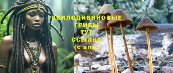 герыч Нефтегорск
