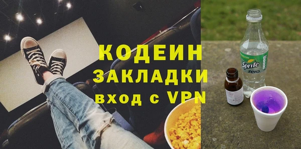 индика Надым
