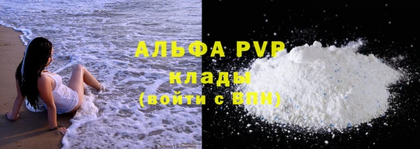 тгк Нея