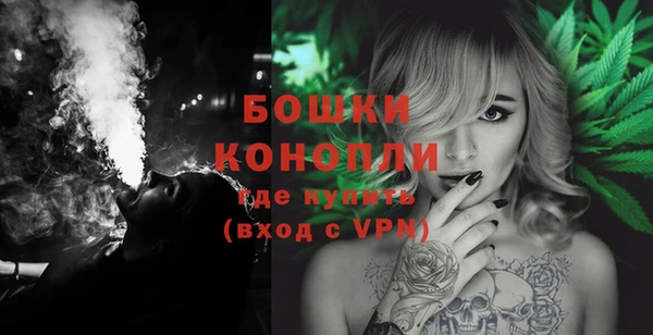 тгк Нея