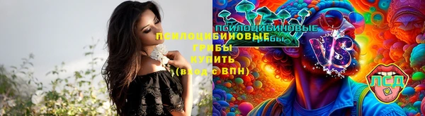 тгк Нея