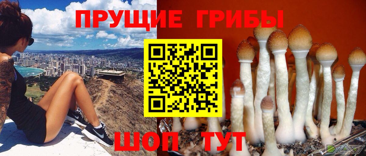Псилоцибиновые грибы прущие грибы  Псилоцибиновые грибы Magic Shrooms  Шадринск 
